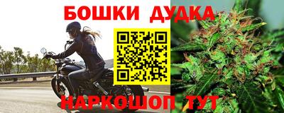 PSILOCYBIN Ипатово