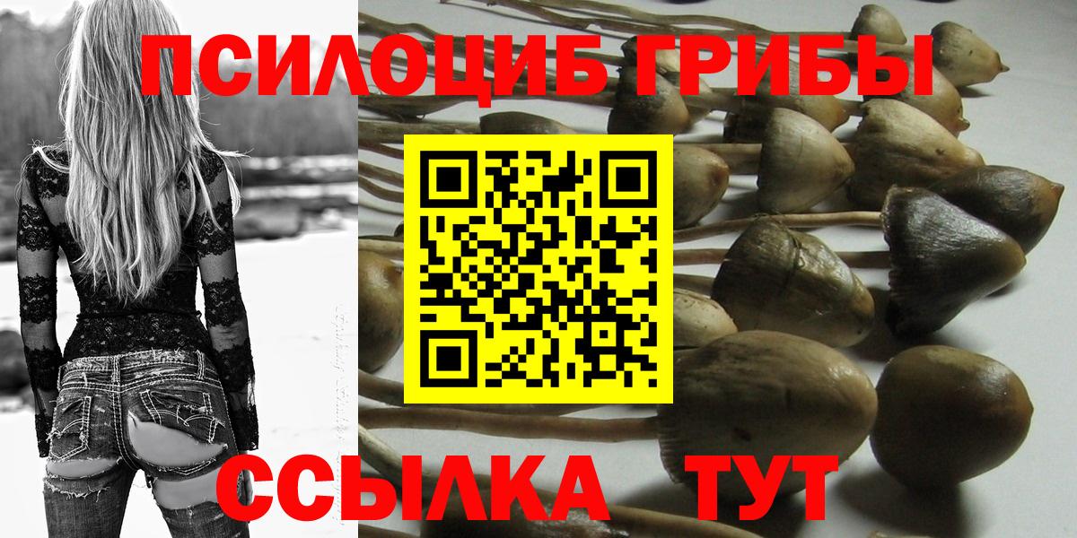 Псилоцибиновые грибы прущие грибы  что такое   Кушва  Вход с VPN 